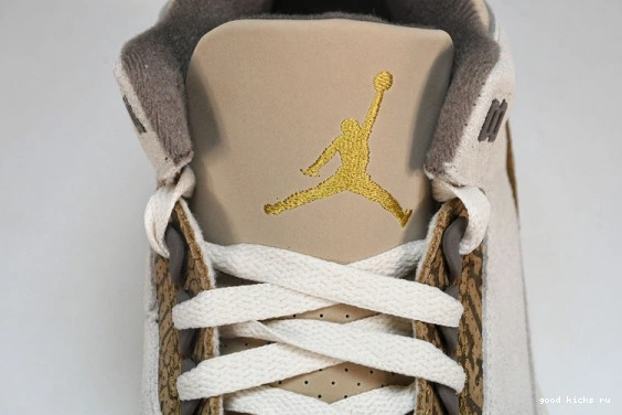 Retro Jordan  CT8532-102 CT8532-102 Palomino  3 0401